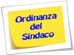 Ordinanza 17/2022